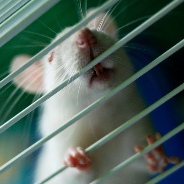 貴陽生物技術服務公司